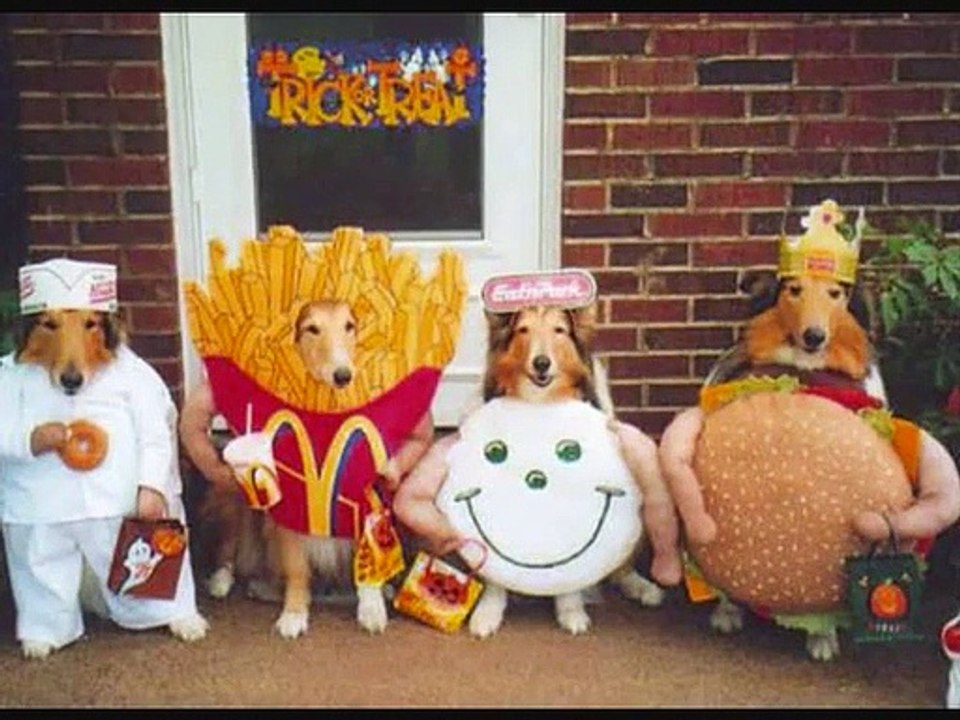 Cute Dog Costumes