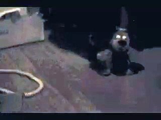 Funny Little Elvis Poodle Puppy