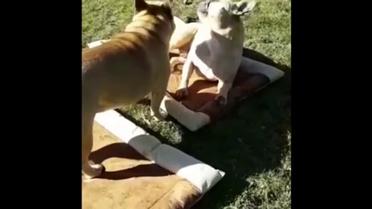 Soooooooo Sweet