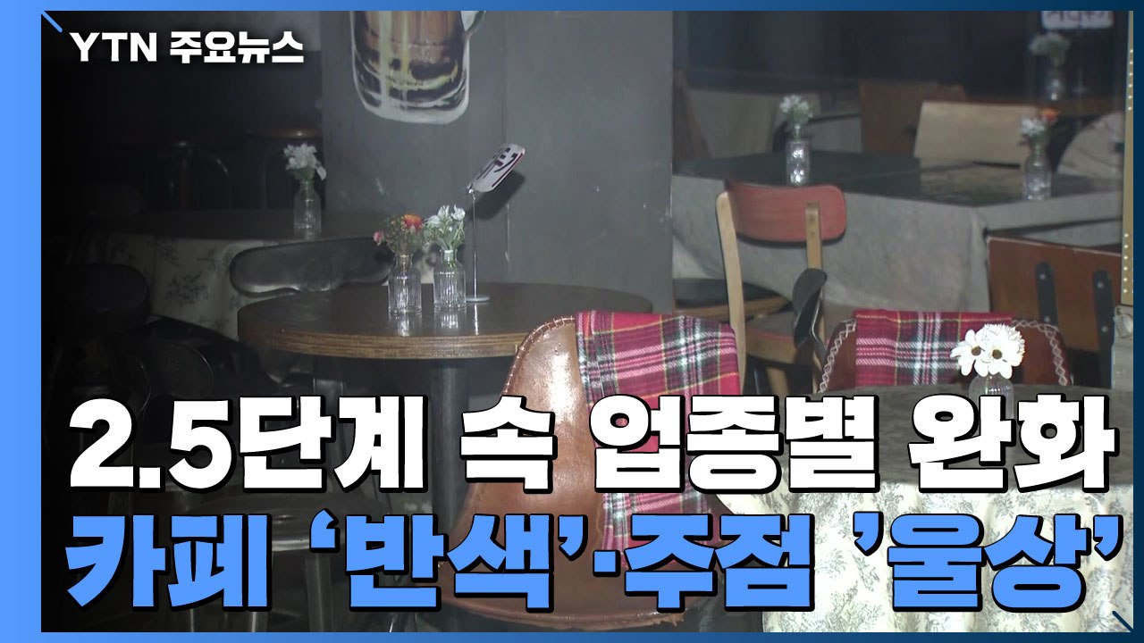 2.5단계 추가 연장에 업종별 완화...업종별 희비 교차 / YTN