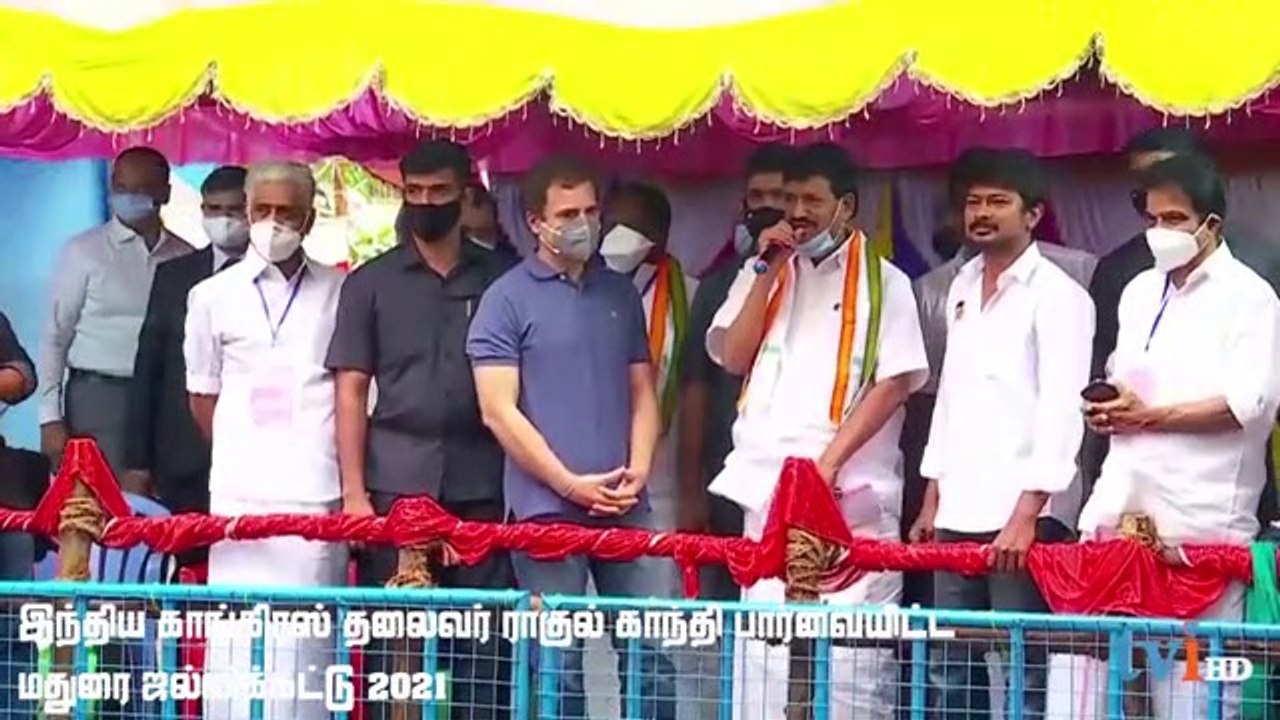 மதுரை  ஜல்லிக்கட்டு போட்டியை பார்வையிட்ட ராகுல் காந்தி  | madurai avaniyapuram jallikattu 2021 |