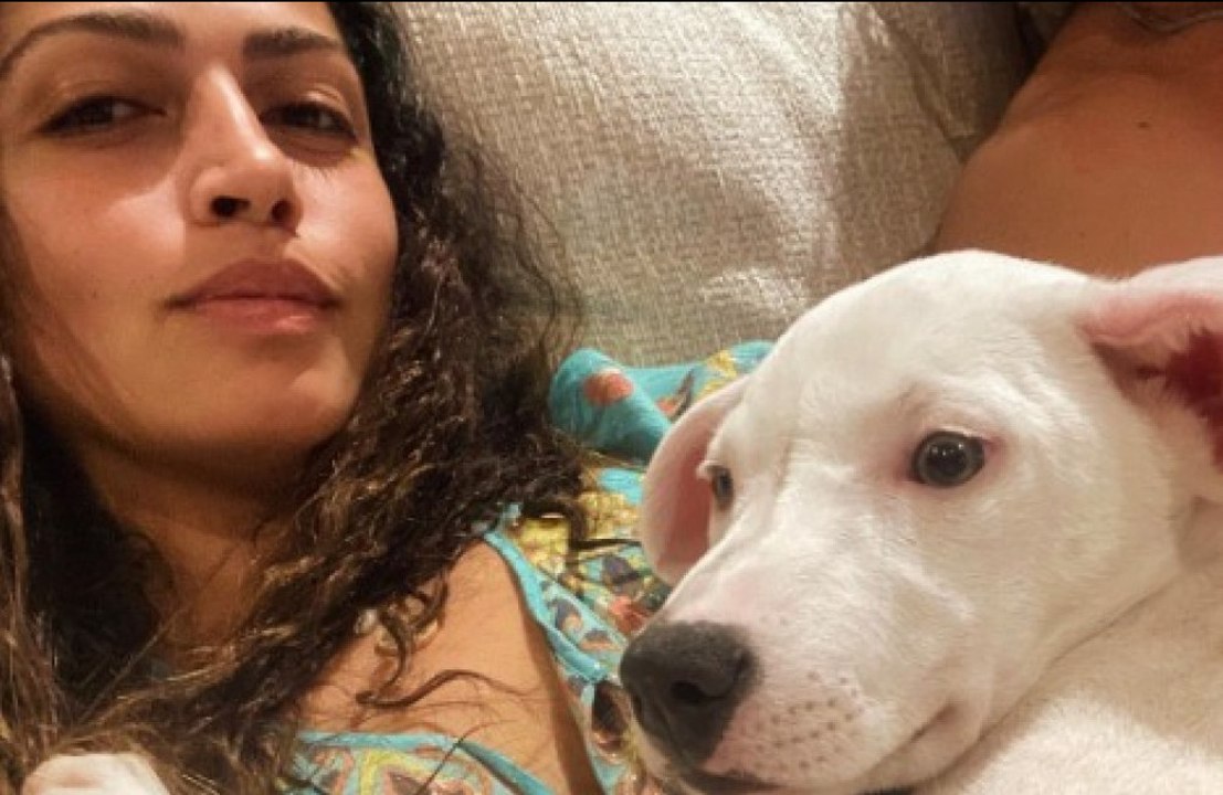 Matthew and Camila Alves McConaughey have welcomed a new addition to their family