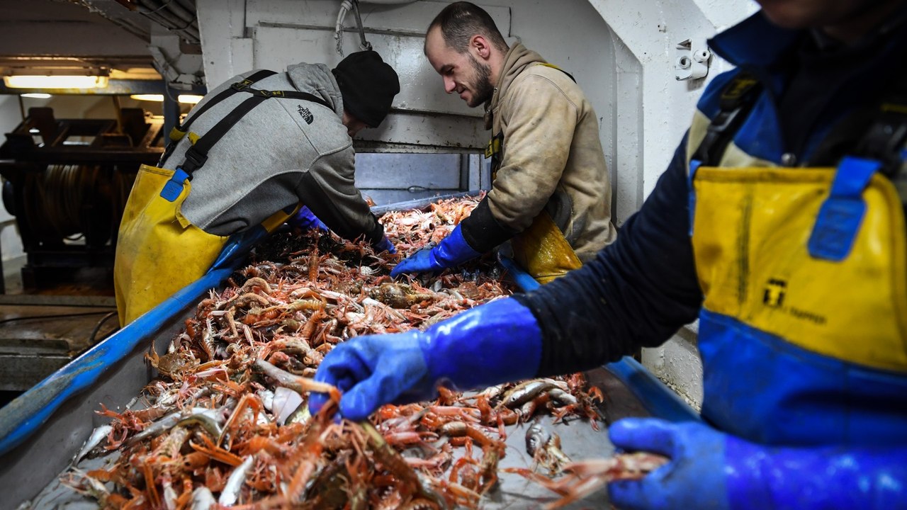 Scottish fishing industry faces crisis over EU...