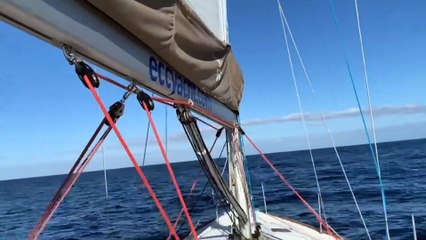 Avistan al resto de kayaks en alta mar