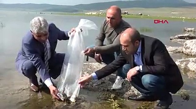 Sektör ekonomiye 4 milyon TL katkı sağlıyor! Bitlis’te on binlerce yavru balık göllere bırakıldı