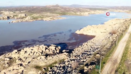 Ayçiçek üreticilerine müjde