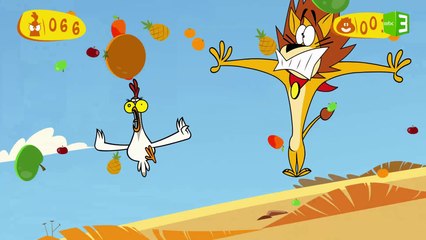 تحدي بين الأسد كيكومبا والسيدة دجاجة