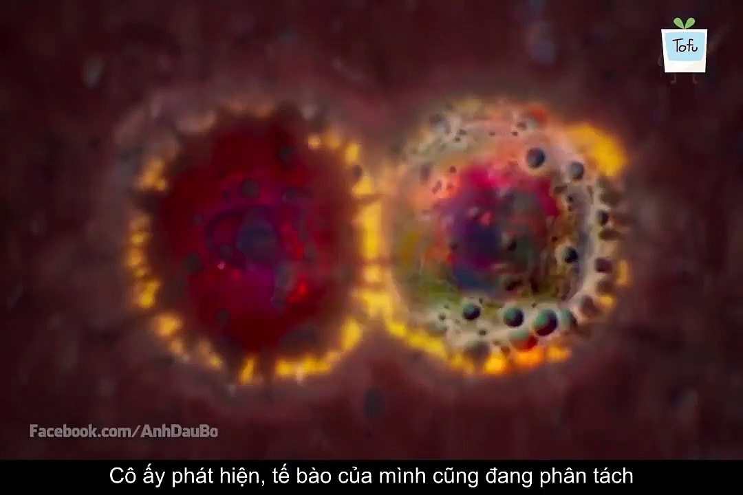 Review Phim Hay HOT SIÊU PHẨM VIỄN TƯỞNG MỸ 2018 VÙNG HUỶ DIỆT - ANNIHILATION  ( Tóm Tắt Bộ Phim )