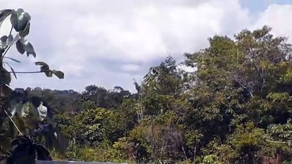 Boeing 747-400 N493MC na aproximação final antes de pousar em Manaus vindo de Miami