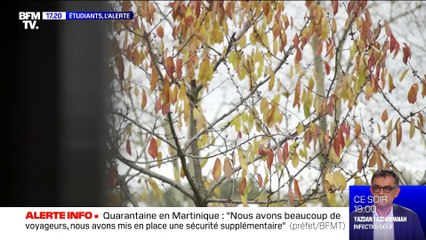 Étudiants, l'alerte - 17/01