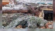 Kar nedeniyle ambulans devrildi | Video