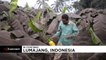 Indonésie : le Semeru est entré en éruption