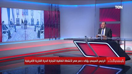 الديهي: دور مصر تاريخي في انشاء المنطقة الحرة الأفريقية لتحقيق الحلم الأفريقي القديم