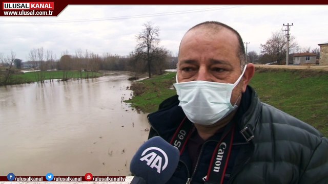Tunca Nehri'nde su maymunları görüldü