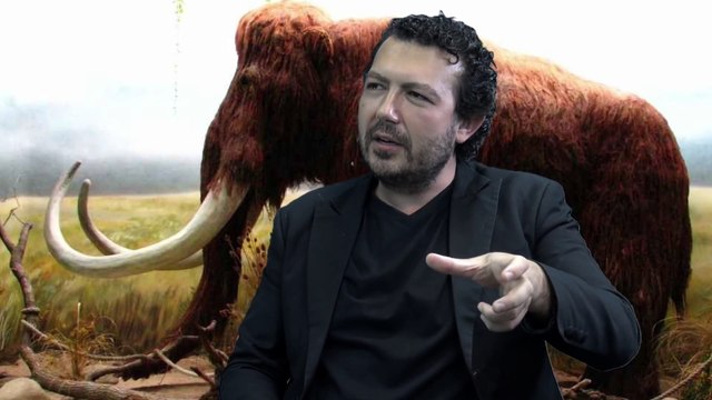 Mammutwolle Slips Nr. 2 / Mamuto vilnos stringai Nr. 2 / Трусы из шерсти мамонта № 2