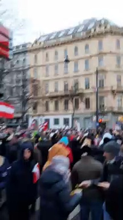 Demo Wien 2 vom 16. Januar 2021