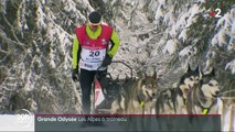 Savoie : la Grande Odyssée, une course de chiens de traîneaux, s'élance dans les Alpes