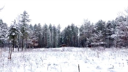 Storm leaves beautiful snowy scenes in its massive wake