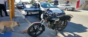 Guardia Nacional arrolla a motociclistas, amenazan a periodistas y huyen, en Culiacán