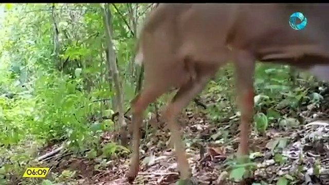 Costa Rica Noticias – Edición domingo 17 de diciembre del 2021