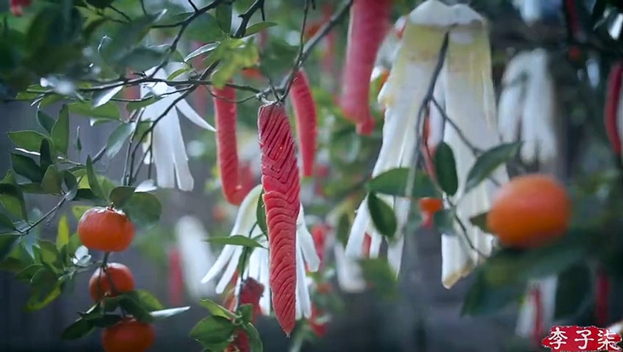 El último episodio del  serie de vida:  La vida del rábano blanco