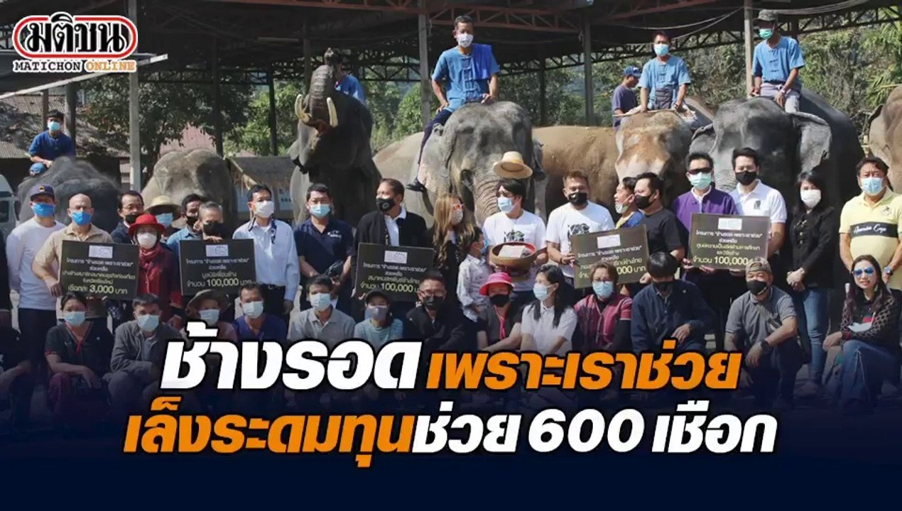 ระดมทุนช่วยช้าง 600 เชือก