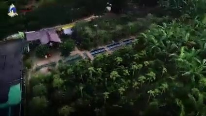 ปัทมาพร พิชัย ยังสมาร์ทฟาร์มเมอร์ จ.น่าน เปลี่ยนภูเขาหัวโล้น เป็นสวนเกษตร ปลูกป่าเศรษฐกิจ สร้างสุขในครอบครัว