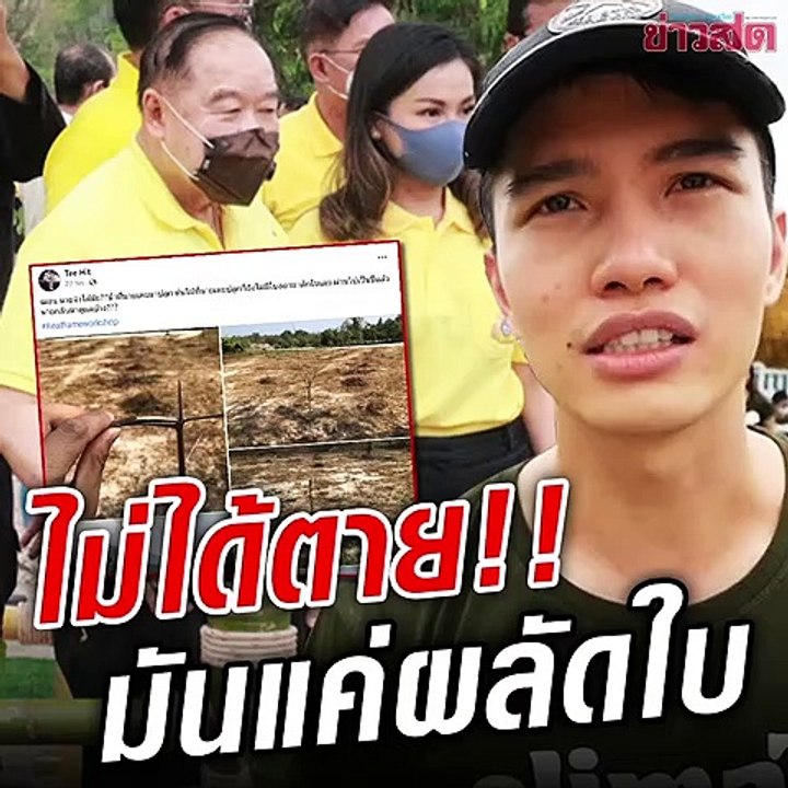 ไม่ได้ตาย.. แค่ผลัดใบ