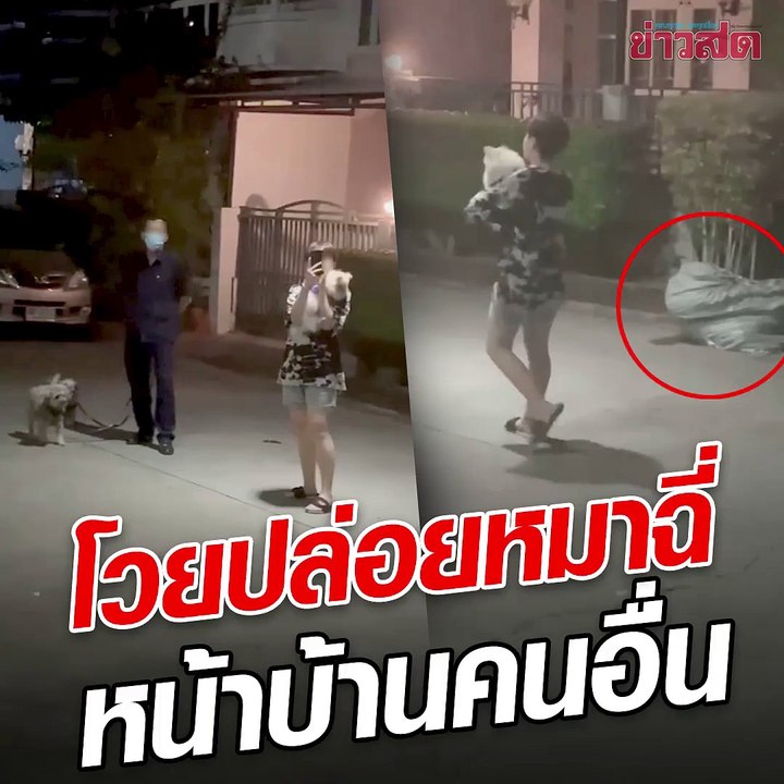 สุดทน! สาวอัดคลิป จวกเพื่อนบ้าน ปล่อยหมาฉี่หน้าบ้านคนอื่น ทำแบบนี้เป็นประจำ