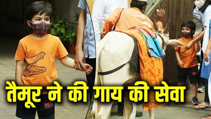 Kareena Kapoor's Son Taimur Ali Khan Feeds Cow Outside His Residence
