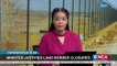 Motsoaledi justifies land borders closures
