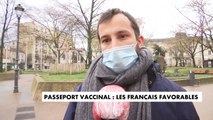 Les Français sont plutôt favorables au passeport vaccinal ou à l’obligation d’avoir été immunisé pour réaliser certaines activités, selon un sondage IFOP