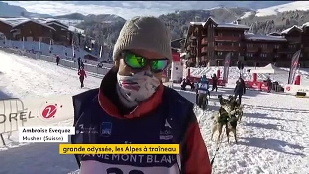 Savoie : La Grande Odyssée, une course de 400 kilomètres en chiens de traîneaux à travers les Alpes