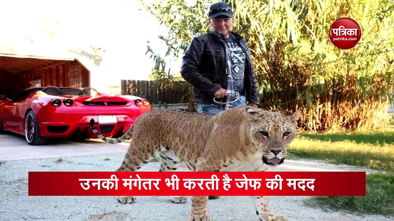 वीडियो : 220 शेरों के साथ रहता है ये कपल, एनिमल...