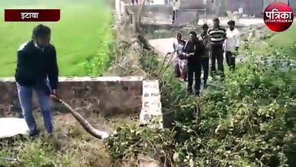 12 फुट लंबे अज़गर को देख फैली दहशत