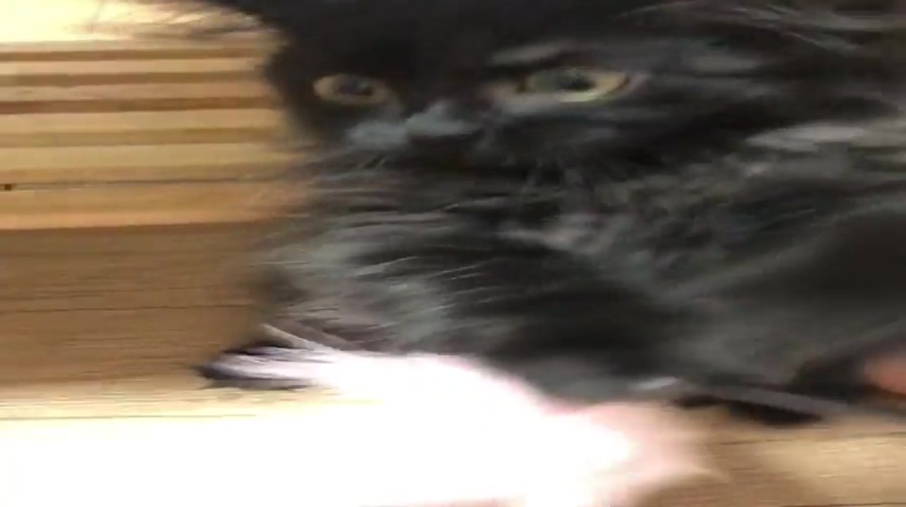 코코스테스트123