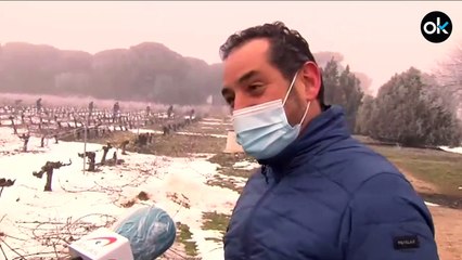 La nieve es hidratante, desinfectante y cicatrizante para la planta de la vid, según los expertos