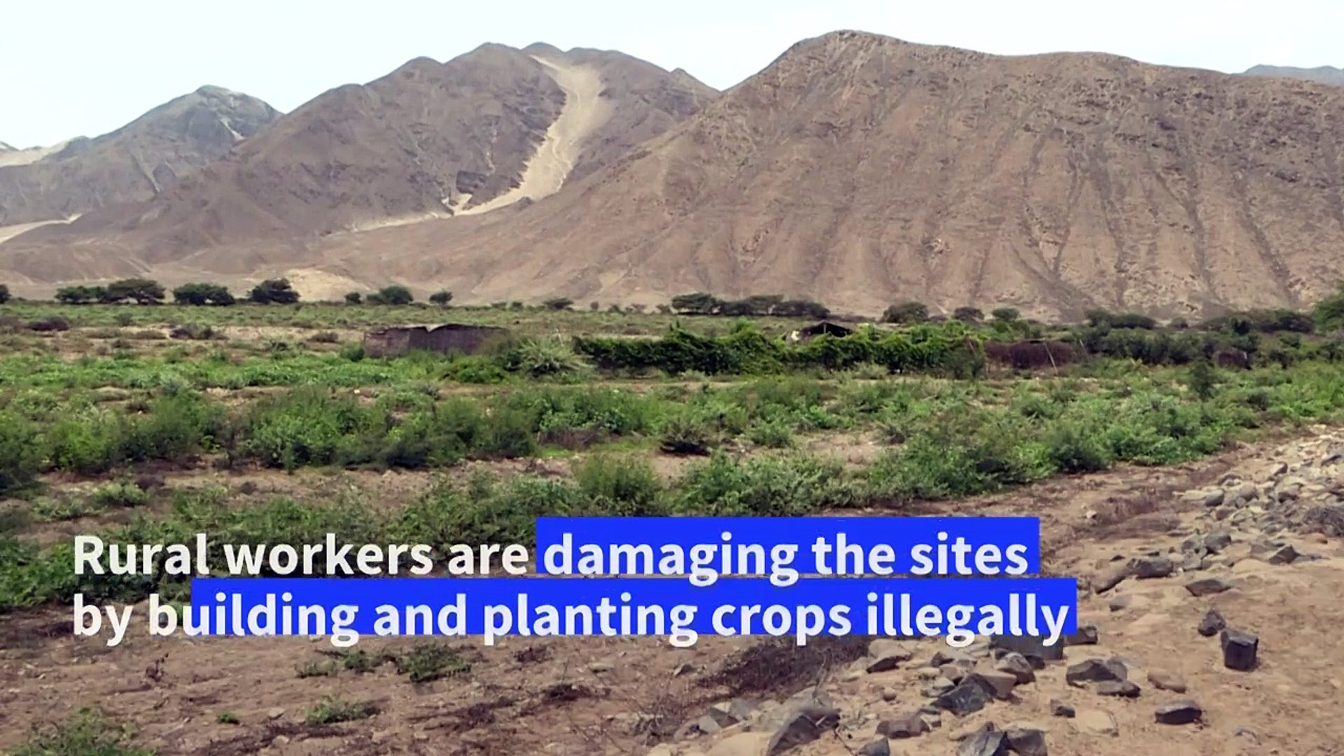 ⁣Caral: the Peruvian archaeological site threatened by illegal construction
