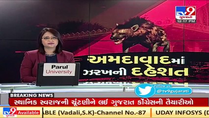 Ahmedabad_ Forest dept concludes the footprints in Vastral were of Hyena not leopard _ TV9news