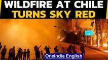 Blood red sky at Chile as Wildfire engulfs land: WATCH  | Oneindia News