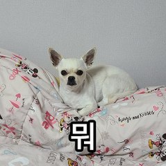 컨텐츠 등록 테스트