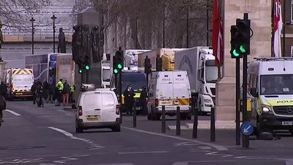 Fishermen protest as new Brexit paperwork leads to waste