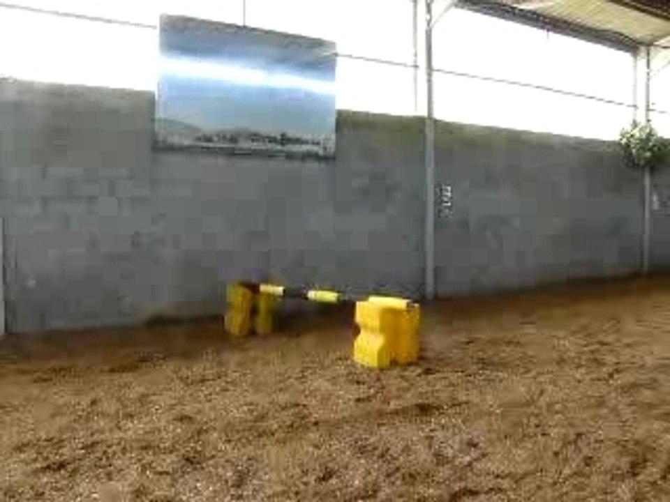 23.02.08 004