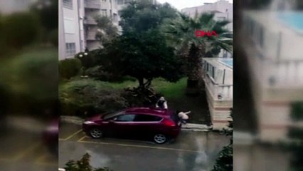 Aydın Kuşadası'na 6 yıl sonra kar yağdı