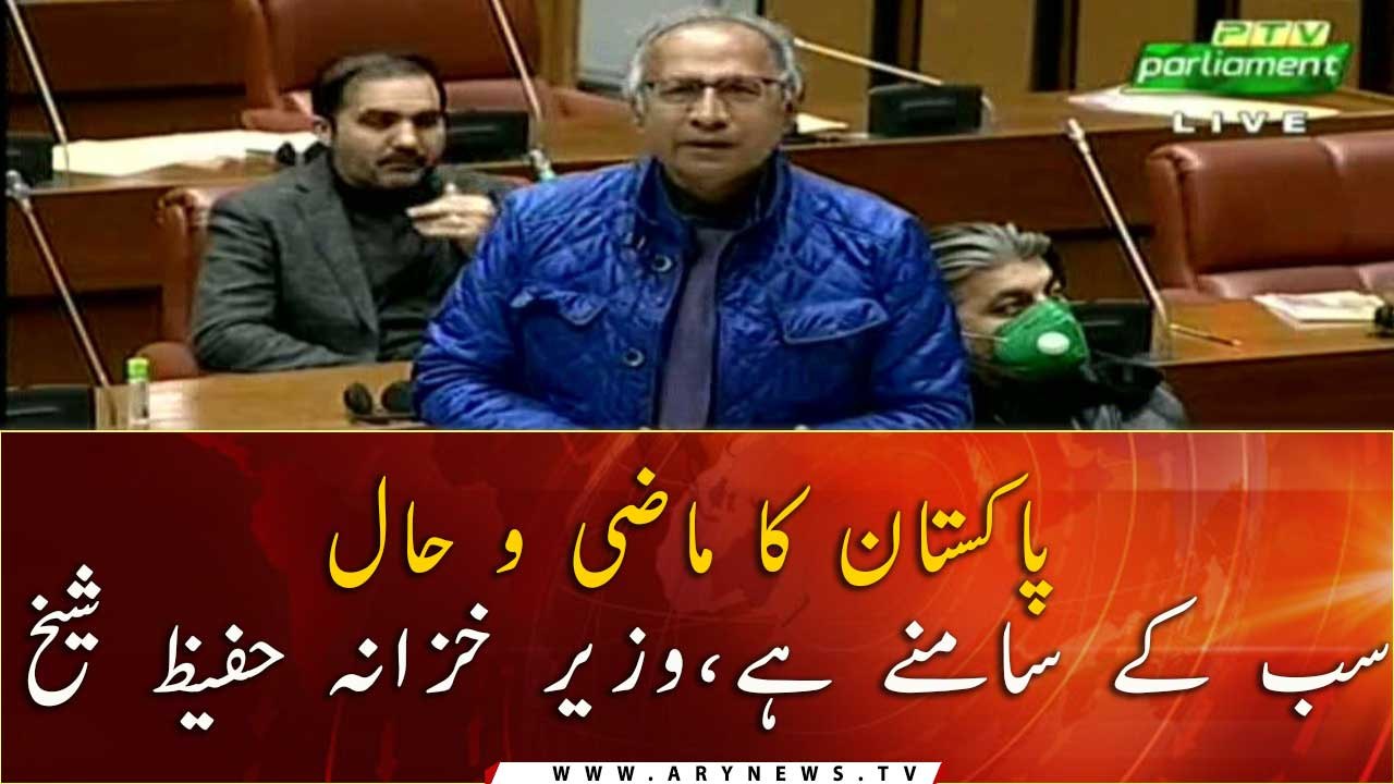 Pakistan's past and present is in front of everyone, Finance Minister Hafeez Sheikh