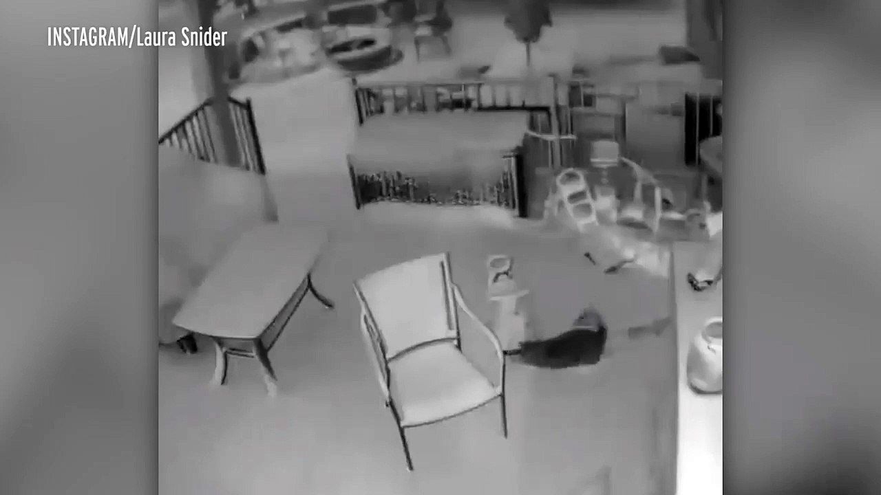 كاميرا تلتقط قطة تقضي أفضل وقت على الإطلاق في وسط عاصفة ثلجية