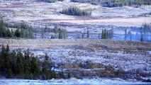 German Army • Leopard II Tanks • Training Rena, Norway