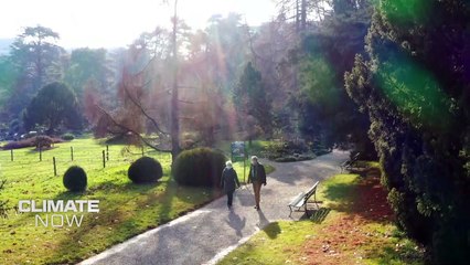 Confinements ou pas, l'année 2020 n'a pas été bonne pour le climat