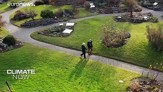 Is the pandemic having an impact on climate change?