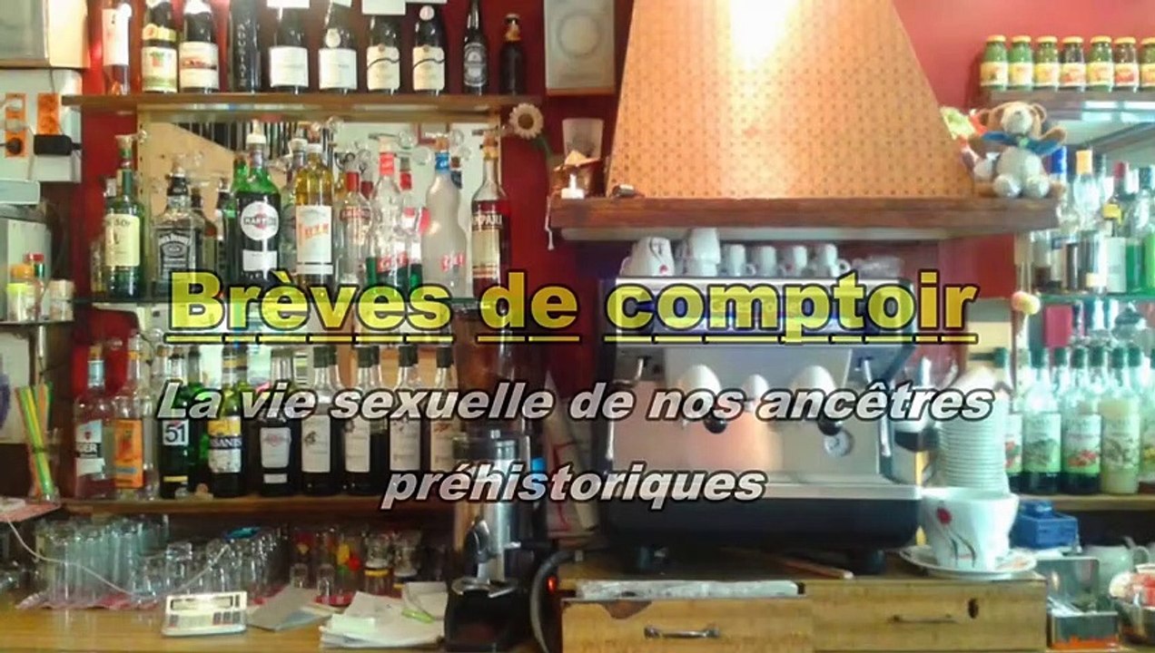 Brèves de comptoir - La vie intime des nos ancêtres préhistoriques